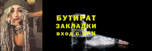 индика Каменка