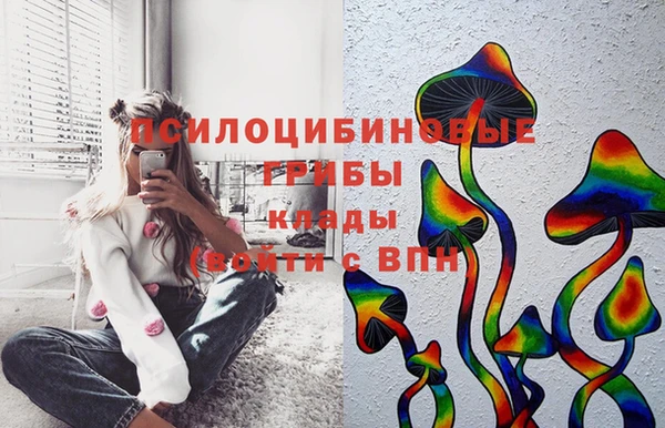 jwh Кущёвская