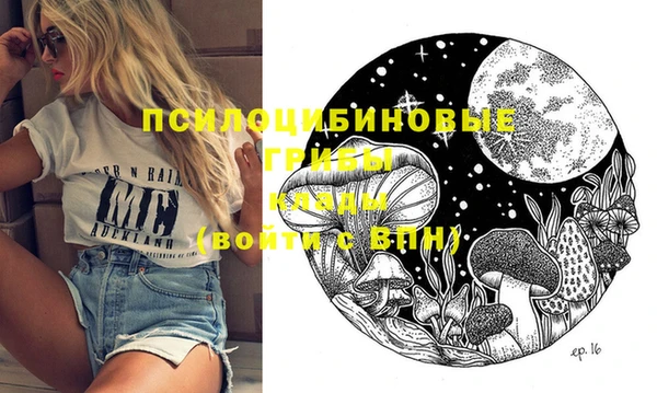 винт Инта