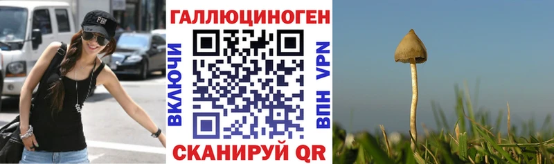 OMG зеркало нарко площадка Telegram Кондопога Псилоцибиновые грибы Cubensis где купить наркоту